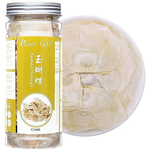 PlantGift Semen Oroxyli 40G/1.41oz 玉蝴蝶 oroxylum indicum, Jade Schmetterling Tee Chinesische Gesundheitstee, Kräuterchinesischer Blumentee lose Blat von Plant Gift