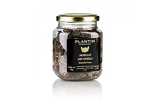 Spitzmorchel-Köpfe, Specials, ab ø 3cm, Plantin, 50g von Plantin