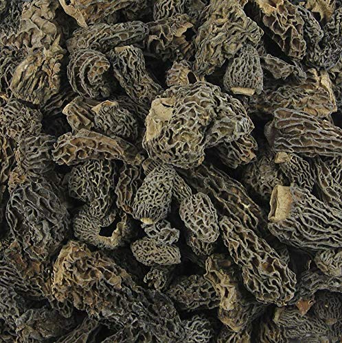 Spitzmorchel-Köpfe, Specials, ab ø 3cm, 1 kg von Plantin