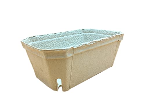VERPACKUNG für Himbeeren Pappmaschee 1 kg 222 Stk. VERPACKUNG für Himbeeren Pappmaschee 1 kg 222 Stk. von Plast