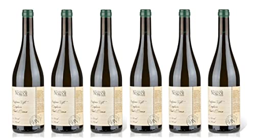 6x 0,75l - 2022er - Poderi dal Nespoli - Dogheria - Pinot Bianco - Rubicone I.G.P. - Emilia-Romagna - Italien - Weißwein trocken von Poderi dal Nespoli