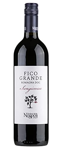 Poderi dal Nespoli Fico Grande Romagna DOC Sangiovese trocken (1 x 0.75l) von Poderi dal Nespoli