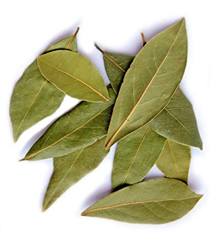 Portal Cool 100 Blät: Laurus nobilis Leafes e getnete Bio-Lorbeerblatt Freies Verschiffen Portal Cool 100 Blät: Laurus nobilis Leafes e getnete Bio-Lorbeerblatt Freies Verschiffen von Portal Cool