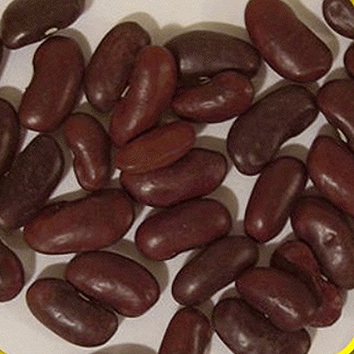 Portal Cool 160 Sm Red Dry B Seeds - Evere Farms Mylar-Samen-Paket Portal Cool 160 Sm Red Dry B Seeds - Evere Farms Mylar-Samen-Paket von Portal Cool