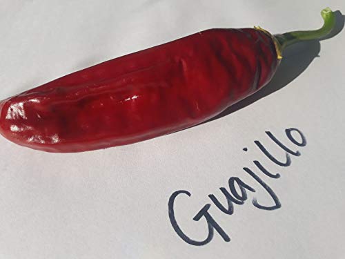 Portal Cool 20 Guajillo Chilli Samen Portal Cool 20 Guajillo Chilli Samen von Portal Cool