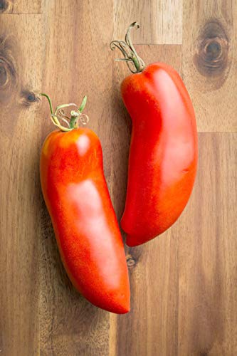 Portal Cool 20 Samen mit Tracking: le Paste Tomatensamen Nicht ohne Gentechnik gut für Sauce und frische Salsas Salate Portal Cool 20 Samen mit Tracking: le Paste Tomatensamen Nicht ohne Gentechnik gut für Sauce und frische Salsas Salate von Portal Cool