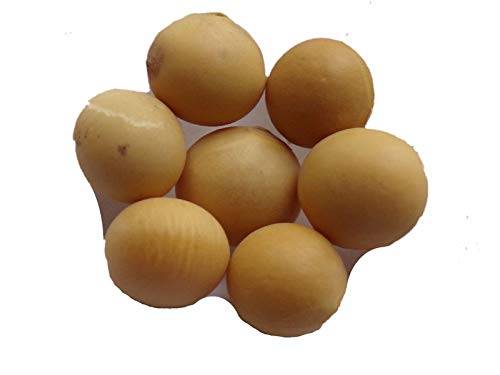 Portal Cool 20 Samen: Gemüsesojabohnen Yellow Bio - Glycine Soja - Soja - Sem06 Portal Cool 20 Samen: Gemüsesojabohnen Yellow Bio - Glycine Soja - Soja - Sem06 von Portal Cool