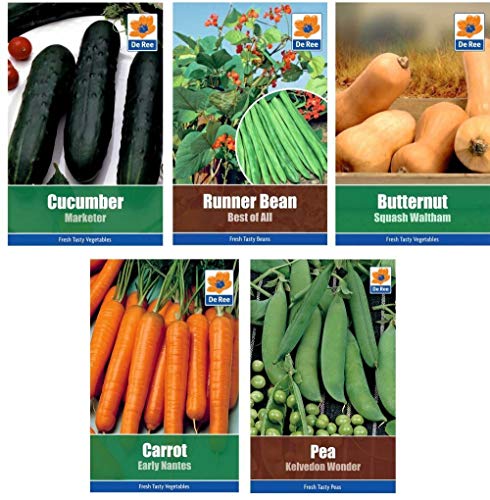 Portal Cool 5 Pakete Samen - Erbse, , , bohne, nut Squash Portal Cool 5 Pakete Samen - Erbse, , , bohne, nut Squash von Portal Cool