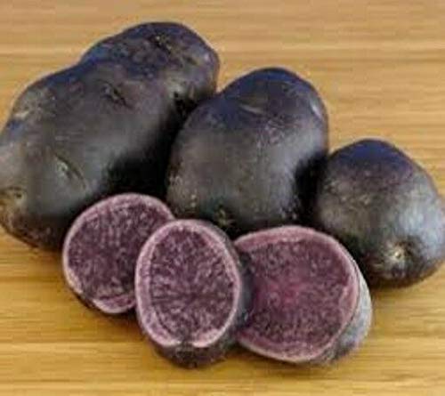Portal Cool 5: Saatkartoffeln Salat. Sowohl die und das Flch ist ein stark, Deep Blue Portal Cool 5: Saatkartoffeln Salat. Sowohl die und das Flch ist ein stark, Deep Blue von Portal Cool