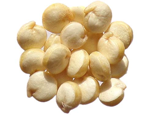 Portal Cool 80 Seeds: Quinoa - Quinoa Chenopodium - White Quinoa - Sem06 Portal Cool 80 Seeds: Quinoa - Quinoa Chenopodium - White Quinoa - Sem06 von Portal Cool