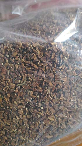 Portal Cool Afrika Chrysemum 10 Gramm Sonnennkerne Chrysantemum Carinatum Portal Cool Afrika Chrysemum 10 Gramm Sonnennkerne Chrysantemum Carinatum von Portal Cool