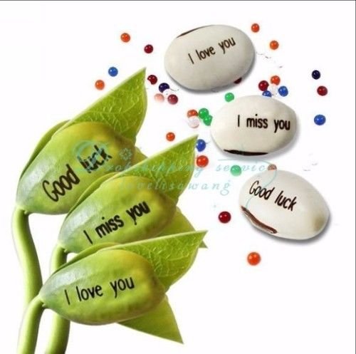 Portal Cool Alles Gute zum Getstag B, Topf, Comp.: Magic Mege Bs Samen Alles Gute zum Getstag Ich Liebe Dich Danke! 2 Get 1 x Gratis Portal Cool Alles Gute zum Getstag B, Topf, Comp.: Magic Mege Bs Samen Alles Gute zum Getstag Ich Liebe Dich Danke! 2 Get 1 x Gratis von Portal Cool