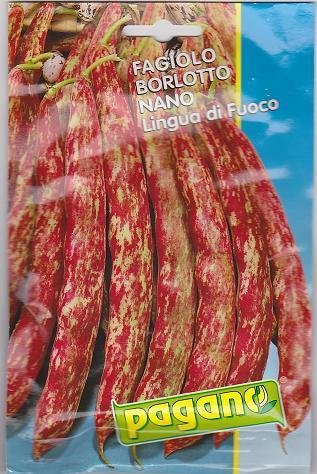 Portal Cool B Borlotto Nanolingua B Samen-40 Gms Portal Cool B Borlotto Nanolingua B Samen-40 Gms von Portal Cool