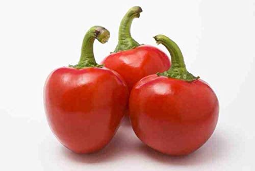 Portal Cool Chilli Seeds - Cherry Bomb X 80 Portal Cool Chilli Seeds - Cherry Bomb X 80 von Portal Cool