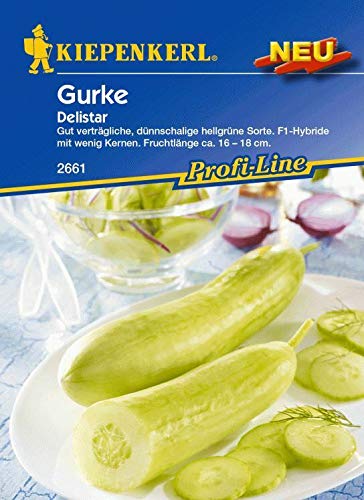 Portal Cool Kiepenkerl - Delistar 2661 Dünnschalige Light Green Variety, Wenig Portal Cool Kiepenkerl - Delistar 2661 Dünnschalige Light Green Variety, Wenig von Portal Cool