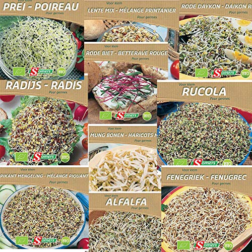Portal Cool Radieschensprossen 40G: Somers Bio Bio Sprießen Samen Gesundes Essen Portal Cool Radieschensprossen 40G: Somers Bio Bio Sprießen Samen Gesundes Essen von Portal Cool