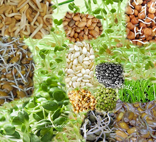 Portal Cool Samen Erd: Sprießen Seeds erstaunliche 30 Sorten-Wählen Sie Ihre Variety-200G-Pack Portal Cool Samen Erd: Sprießen Seeds erstaunliche 30 Sorten-Wählen Sie Ihre Variety-200G-Pack von Portal Cool