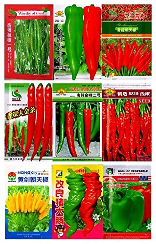 Portal Cool Yellow Pod Chili Pepper 300 Se.: Pfeffer Chili Samen Original-Bunte paket Garten Gemüse Original-Chili-Peperoni-Seeds Portal Cool Yellow Pod Chili Pepper 300 Se.: Pfeffer Chili Samen Original-Bunte paket Garten Gemüse Original-Chili-Peperoni-Seeds von Portal Cool