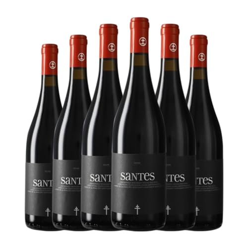 Portal del Montsant Santes Catalunya 75 cl (Schachtel mit 6 Flaschen von 75 cl) von Portal del Montsant