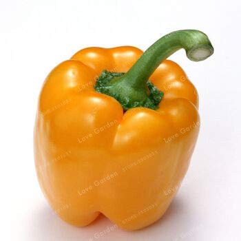 . 100 Stück 5 Farben Pfeffer Gemüse Chili Süße Bunte Zier Pfeffer Skgs Essbare Balkon Pflanze: 4 . 100 Stück 5 Farben Pfeffer Gemüse Chili Süße Bunte Zier Pfeffer Skgs Essbare Balkon Pflanze: 4 von Potseed