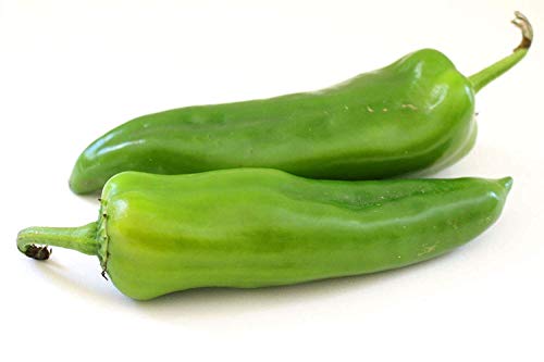Pfeffer 600 Anaheim Seeds - UK Pfeffer 600 Anaheim Seeds - UK von Potseed