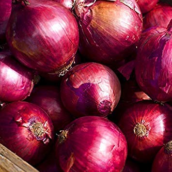 Potseed Frische Purple Onion Gemüsesamen - 50 PC/Los Potseed Frische Purple Onion Gemüsesamen - 50 PC/Los von Potseed