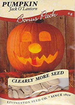 Potseed Jack O'Lantern Kürbis-Samen - 6 Gramm Potseed Jack O'Lantern Kürbis-Samen - 6 Gramm von Potseed