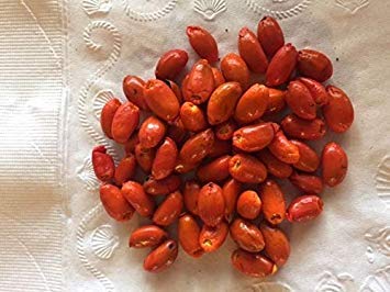 Potseed Keimfutter: 100+ CARROTWOOD oder Tuckeroo Fresh & Kostenloser Versand Potseed Keimfutter: 100+ CARROTWOOD oder Tuckeroo Fresh & Kostenloser Versand von Potseed