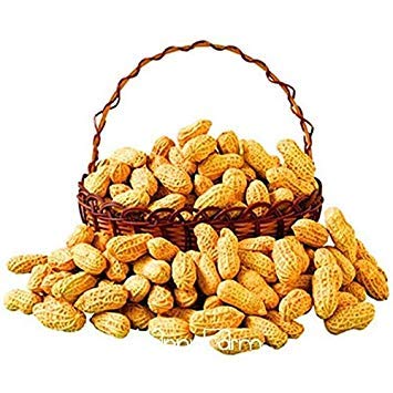 Potseed Keimfutter: 2 Stück/Beutel Garten Bio-Pflanzen Erdnuss Samen Gemüsesamen Potseed Keimfutter: 2 Stück/Beutel Garten Bio-Pflanzen Erdnuss Samen Gemüsesamen von Potseed