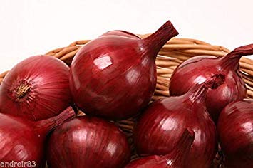 Potseed Ukrainische Samen von Birnen Red Onion Yukont 0,5 G Ukraine Potseed Ukrainische Samen von Birnen Red Onion Yukont 0,5 G Ukraine von Potseed