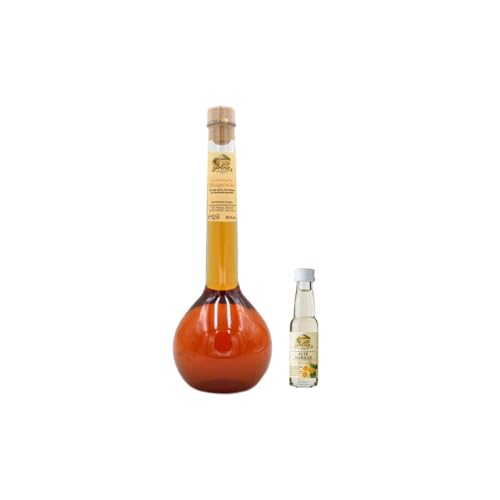 Prinz Bratapfel Likör / 16% Vol. / 0,5 L + 1 Prinz Alte Sorte Probe 0,02l von Prinz