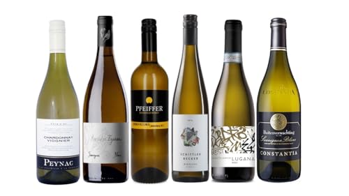 The Wine Guys Probierpaket „Die Weißwein Weltreise“| Weinpaket mit sechs verschiedenen Flaschen Weißwein aus aller Welt (6 x 0,75 l) | Ideales Wein Tasting-Set von The Wine Guys