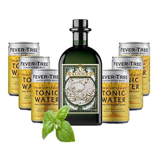 V-Sinne Gin & Fever Tree Tonic Water von Project GT