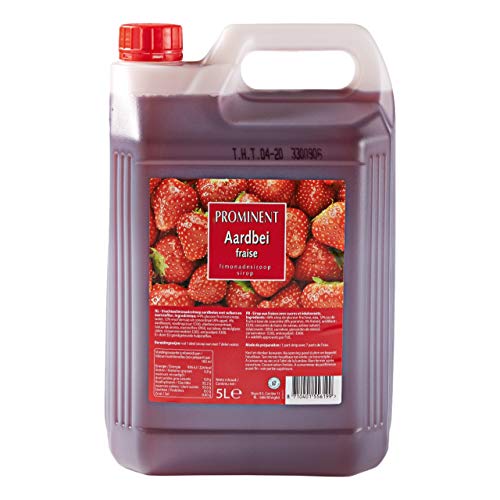 Prominent Sirup Erdbeere Flasche 5 Liter von Prominent