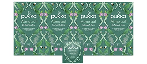Pukka | Bio-Kräutertee „Atme auf“ | Ackerminze, Eukalyptus, Ingwer und Honig | für starke Momente im Alltag | 4er Pack | 80 Teebeutel von Pukka
