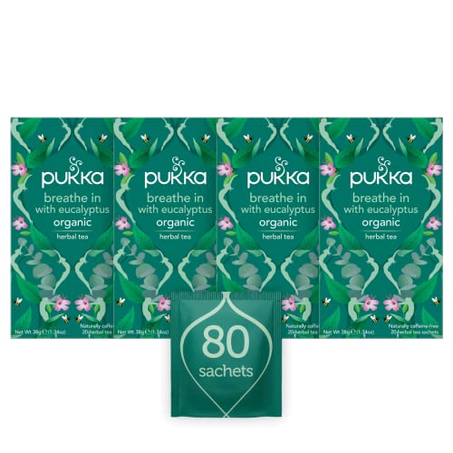 Pukka Kräuter | Atmen Sie Bio-Kräutertee | Minze, Eukalyptus, Ingwer, Honig | perfekt für den täglichen Gebrauch von Pukka