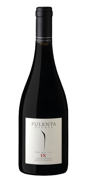 "IX" Pinot Noir 2022 von Pulenta Estate