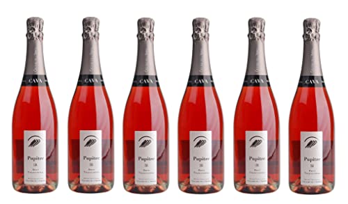 6x 0,75l - Pupitre - Rosé Brut - Cava D.O. - Spanien - Rosé-Schaumwein trocken von Pupitre