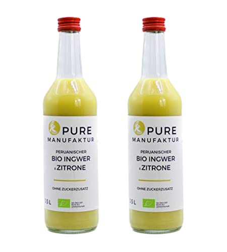 Pure Ginger – hochwertiger peruanische Bio-Ingwer mit Zitrone ohne Zucker und künstliche Zusatzstoffe 100% Bio (DE-ÖKO-005), 2x500ml von Pure Ginger