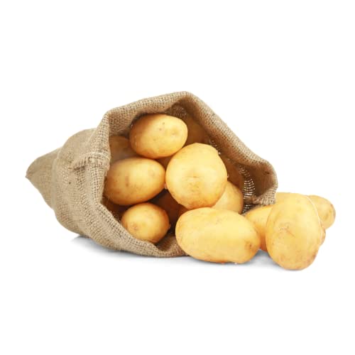 25 KG Kartoffeln | Deutsche Pellkartoffeln aus der aktuellen Ernte - Ideal zum Pellen - im 25 KG Netzsack (festkochend) von Quast Meerrettich