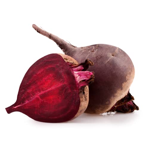 Frische Rote Bete | Rote Bete aus Deutschland (2500 g) von Quast Meerrettich