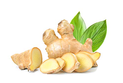 Quast Meerrettich Bio Ingwer | Frischer Ingwer aus biologisch zertifiziertem Anbau | Fresh Ginger (Biologisch, 1000 g) von Quast Meerrettich