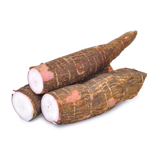 Quast Meerrettich Maniok | Frischer Maniok | Fresh Cassava | Yuca Fresca |pro Kilo} von Quast Meerrettich