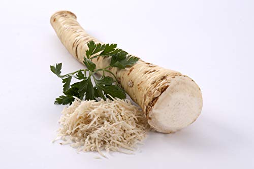 Meerrettich | Kren | Horseradish - Frische Stangenware (gewaschen, 1 kg) von Quast Meerrettich
