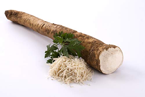 Meerrettich | Kren | Horseradish - Frische Stangenware (naturbelassen, 1 kg) von Quast Meerrettich