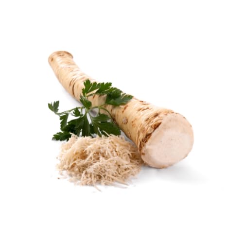 Meerrettich | Kren | Horseradish - Frische Stangenware - gewaschen [pro Kilo] von Quast Meerrettich