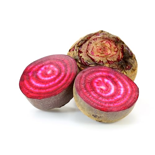 Ringel Bete | Frische Ringelbeete | Tonta de Chioggia Beete (Ringel Bete, 1 KG) von Quast Meerrettich