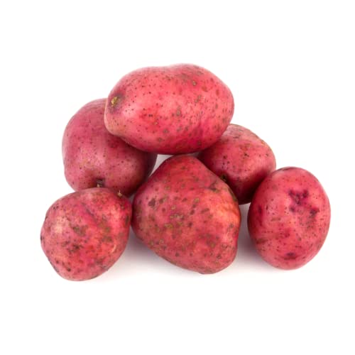 Rote Kartoffeln aus Deutschland | Rote Emmalie | Gourmet Speisekartoffeln in Rot - vorwiegend festkochend (800 g) von Quast Meerrettich