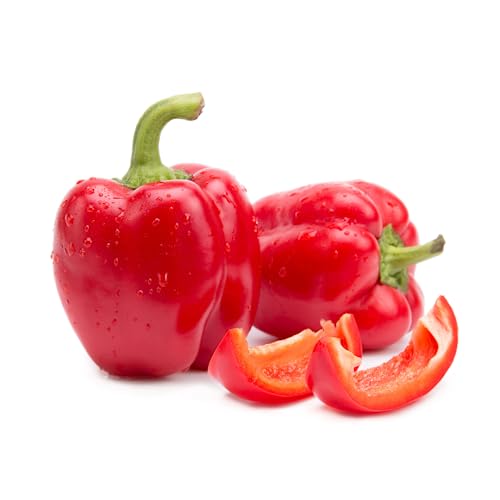 Rote Paprika | Frische Farbenfrohe Paprika (Rot, 1 KG) von Quast Meerrettich