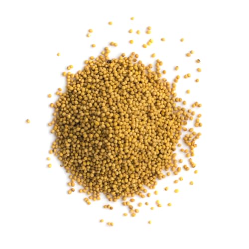 Senfsaat gelb | Senftkörner |100% naturrein, schonend getrocknet, Senfsamen natürlich ohne Zusätze | 800 g Senfsaat gelb | Senftkörner |100% naturrein, schonend getrocknet, Senfsamen natürlich ohne Zusätze | 800 g von Quast Meerrettich